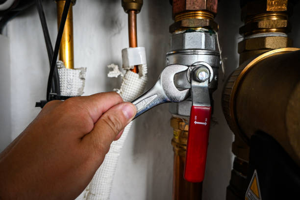 Best Toilet Repair Services  in Earlington, KY